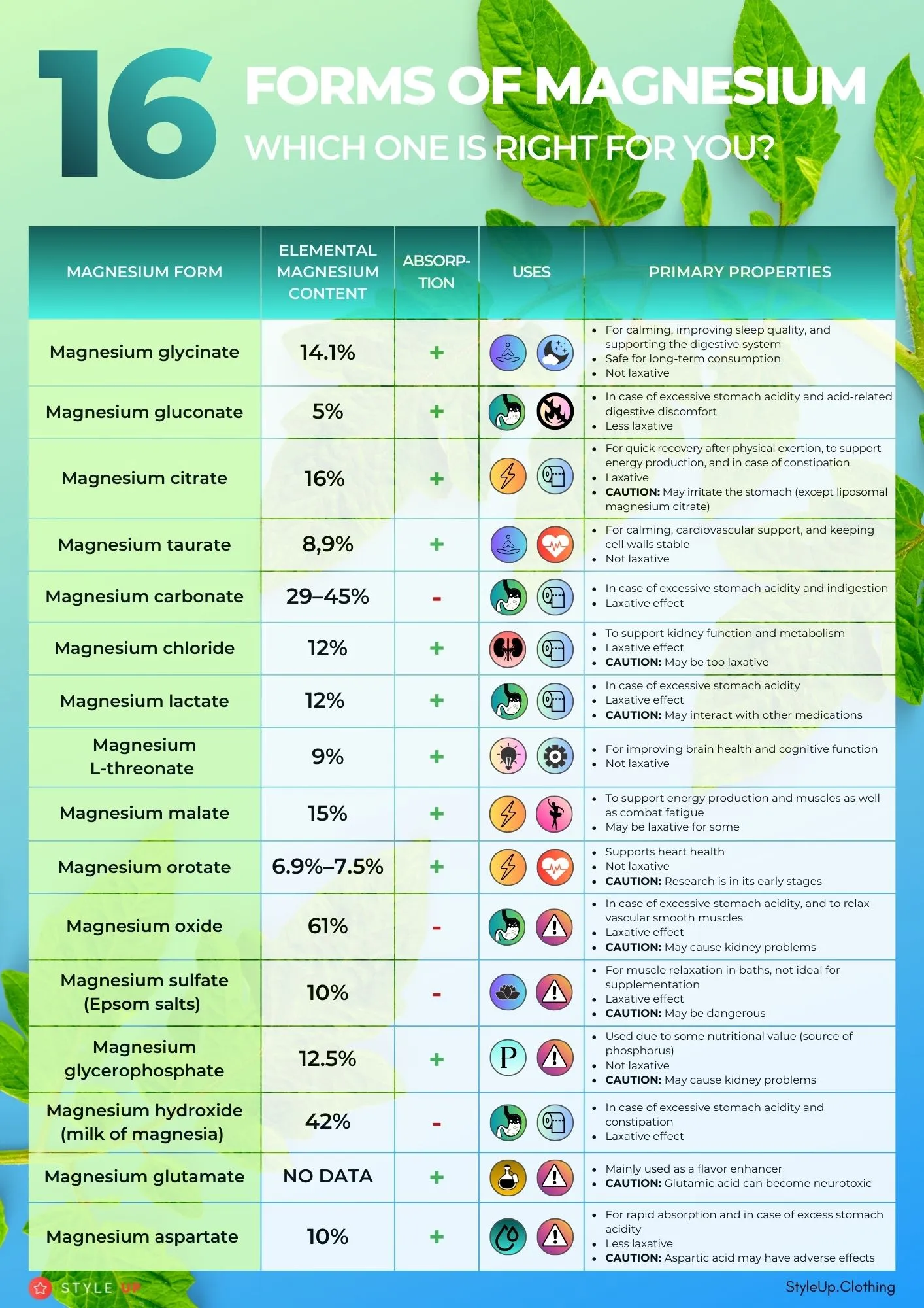 1. STYLEUP_GUIDE_HEALTH_AND_BEAUTY_TIPS_Full_Magnesium_Guide_Which_Magnesium_Forms_Are_The Best_16_Different_Forms_of_Magnesium_Supplements_Which_One_is_Right_For_You.jpg